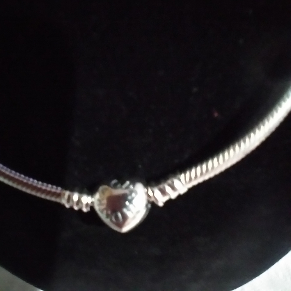 Last 1 Pandora chain or necklace click to see the pictures